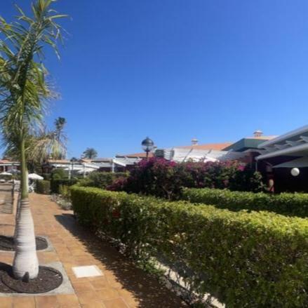 Bungalow Verdemar Maspalomas Maspalomas  Esterno foto